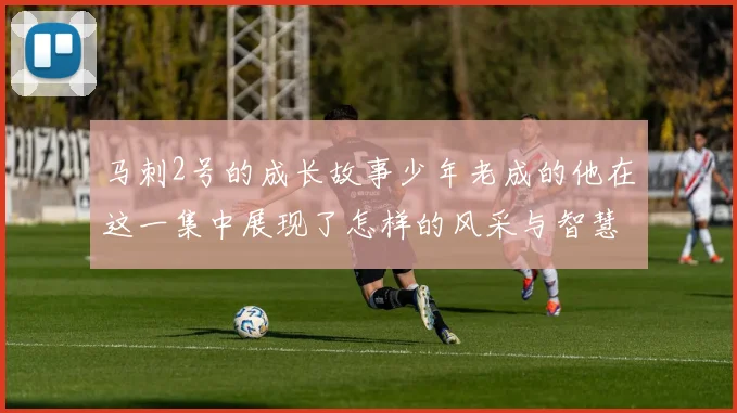 马刺2号的成长故事少年老成的他在这一集中展现了怎样的风采与智慧