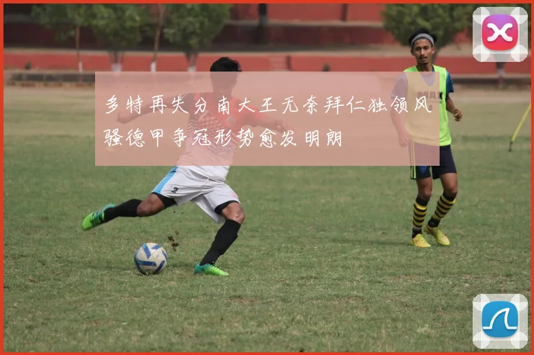 多特再失分南大王无奈拜仁独领风骚德甲争冠形势愈发明朗
