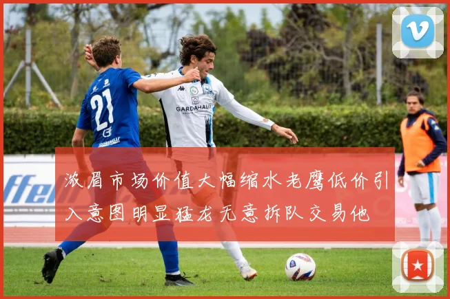 浓眉市场价值大幅缩水老鹰低价引入意图明显猛龙无意拆队交易他