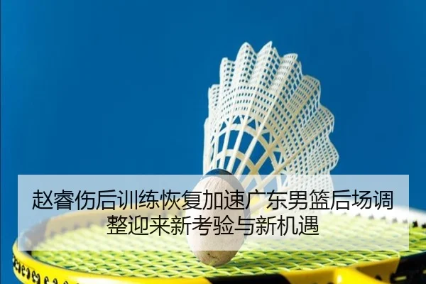 赵睿伤后训练恢复加速广东男篮后场调整迎来新考验与新机遇